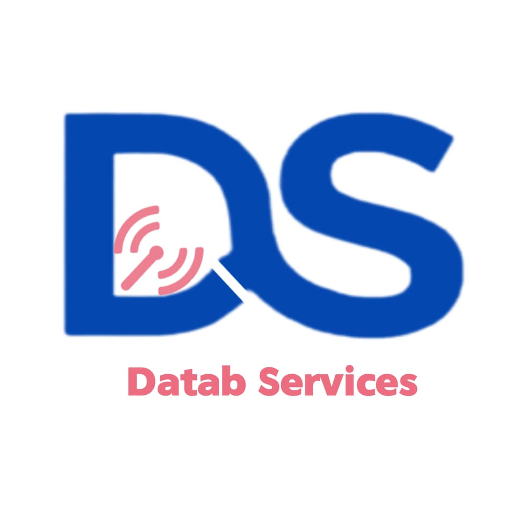 Databservices Logo